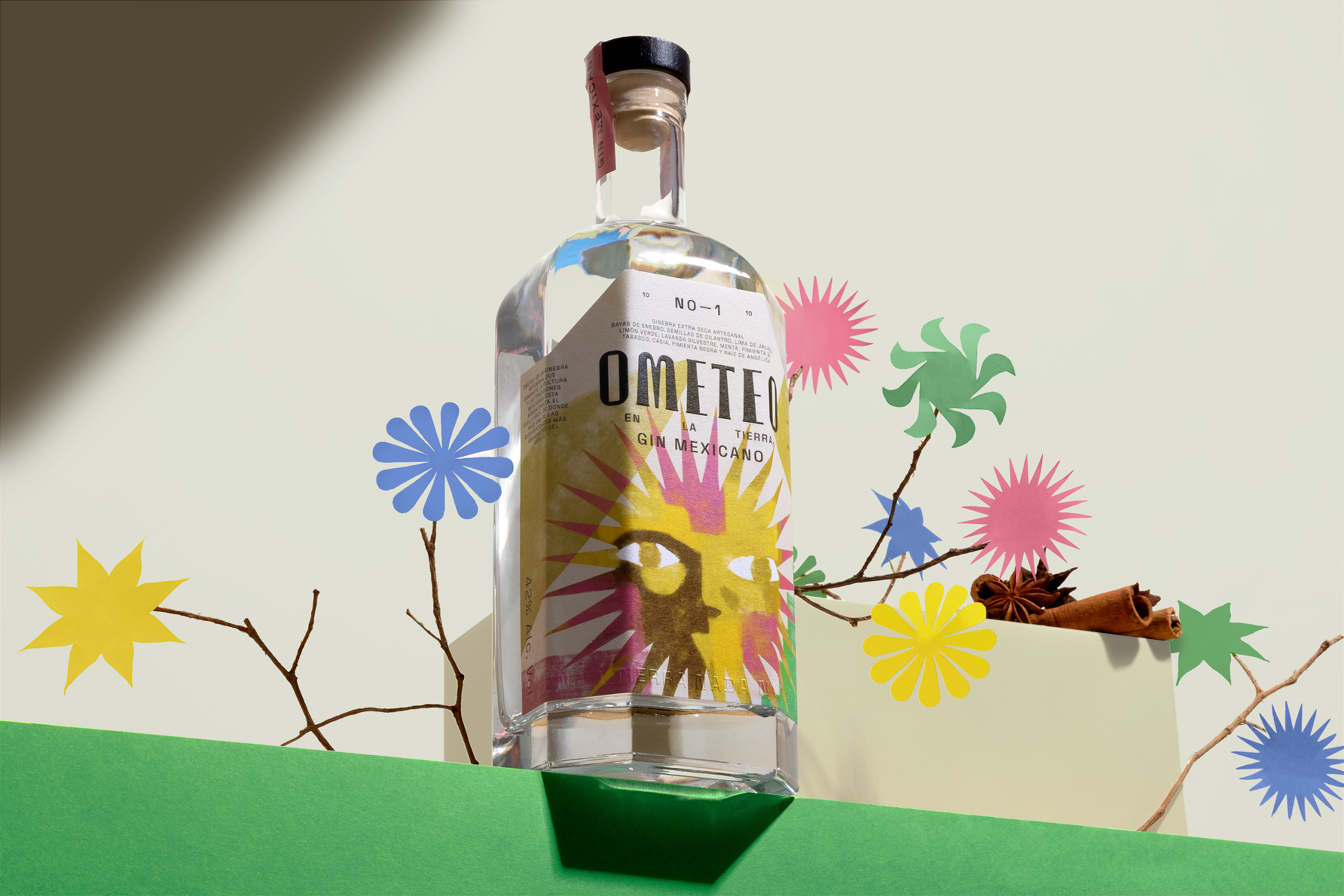 8._Ometeo_contrapicada